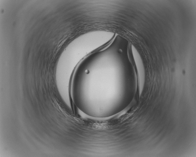 X0000052980560200507221330