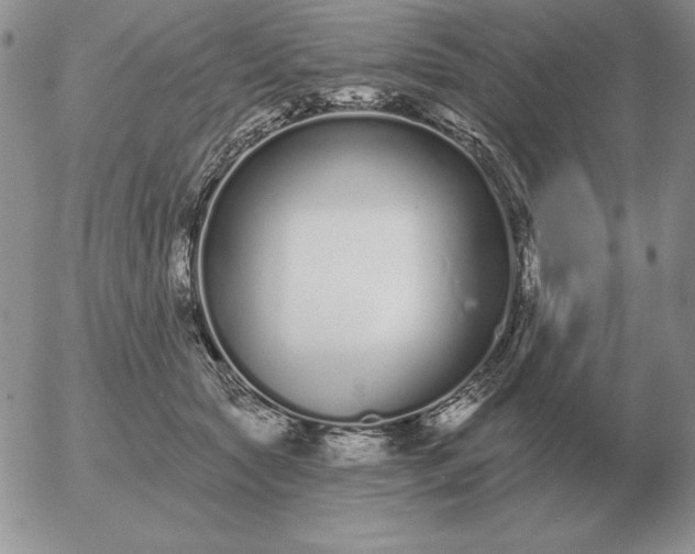 X0000052980561200507221330