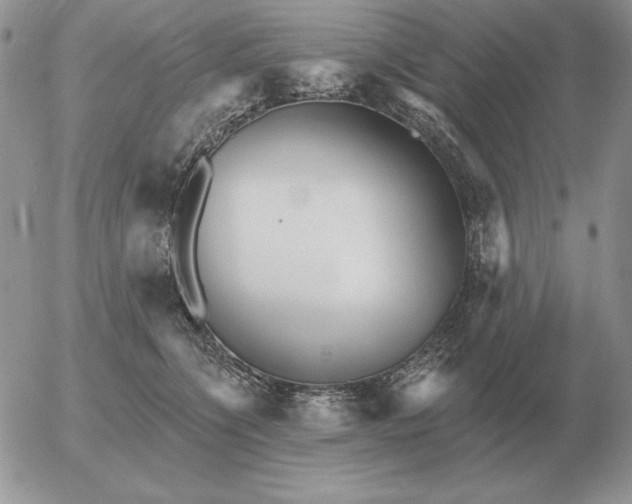 X0000052980564200507221330