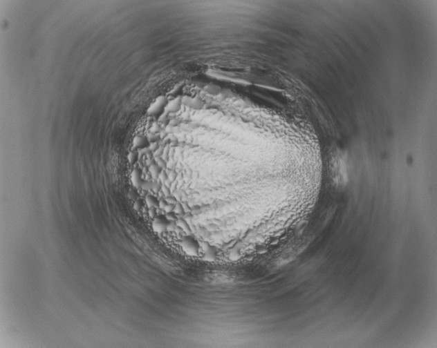 X0000052980565200507221330