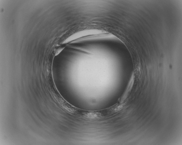 X0000052980566200507221330