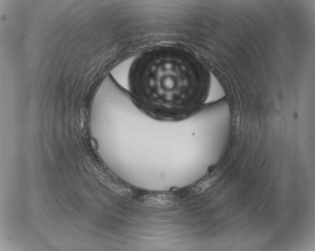 X0000052980567200507221330