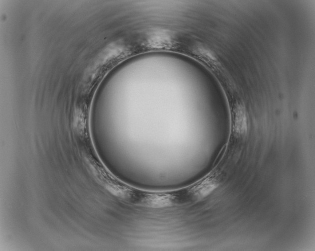 X0000052980569200507221330