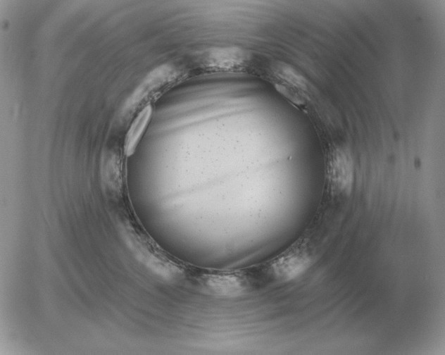 X0000052980572200507221330