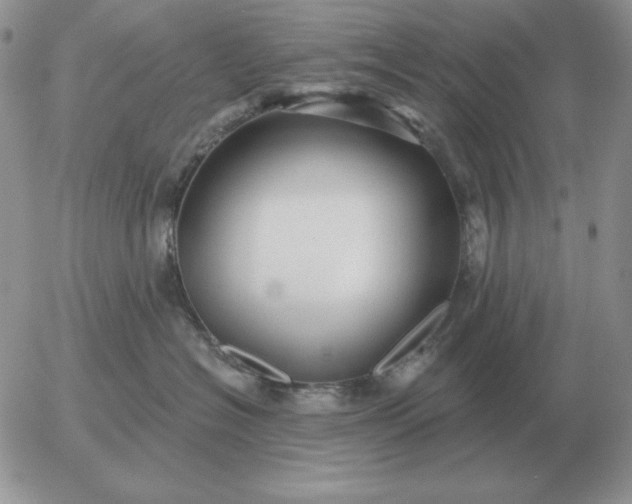 X0000052980574200507221330