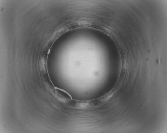 X0000052980575200507221330