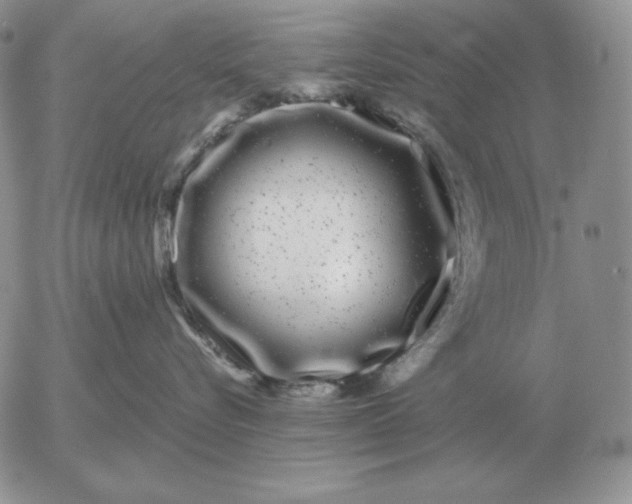 X0000052980576200507221331