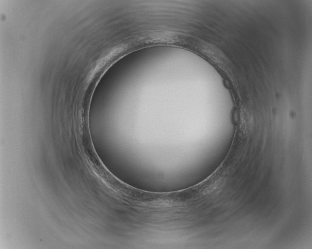 X0000052980578200507221330