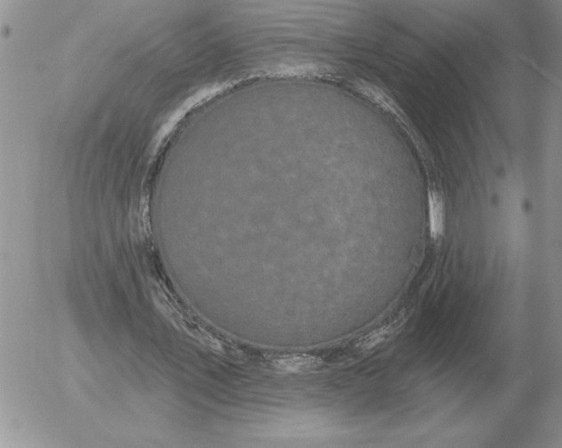 X0000052980579200507221330