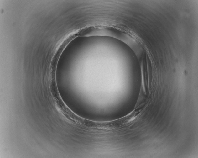 X0000052980580200507221330