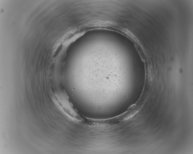 X0000052980581200507221330