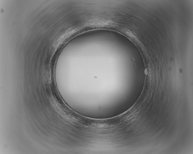 X0000052980582200507221330