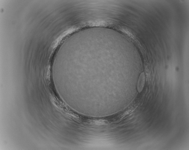 X0000052980583200507221330