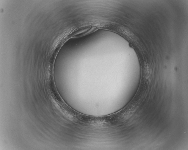 X0000052980586200507221330