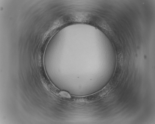 X0000052980587200507221330