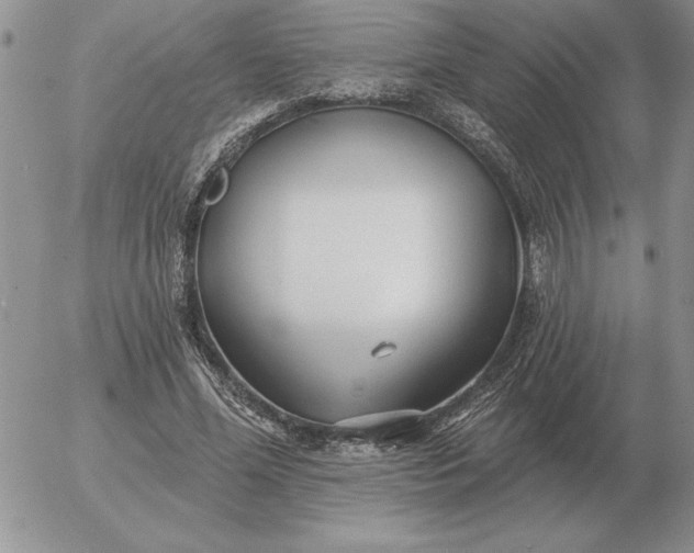 X0000052980588200507221330