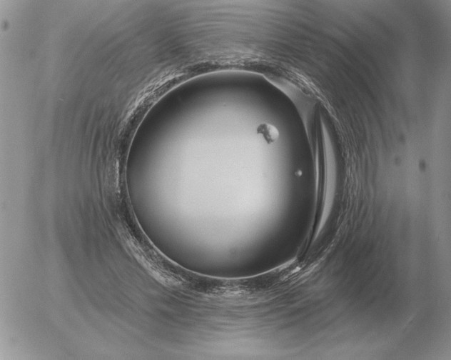 X0000052980589200507221330