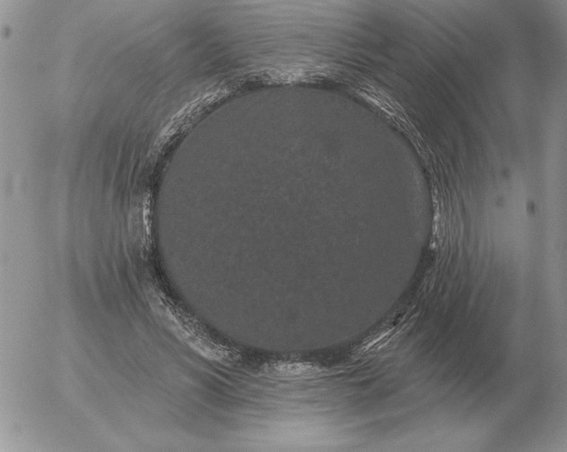 X0000052980590200507221330