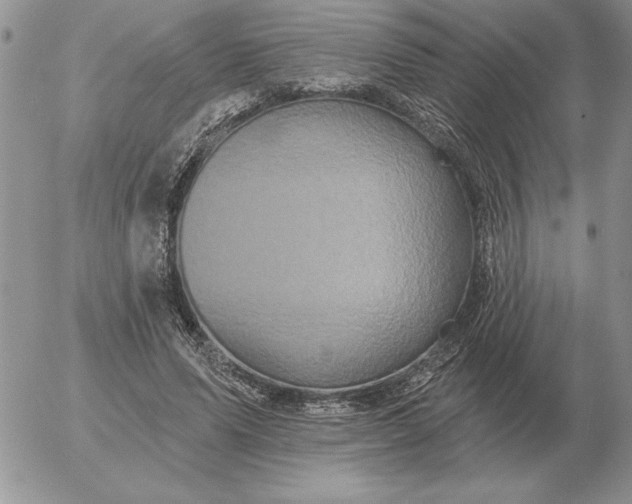 X0000052980591200507221330