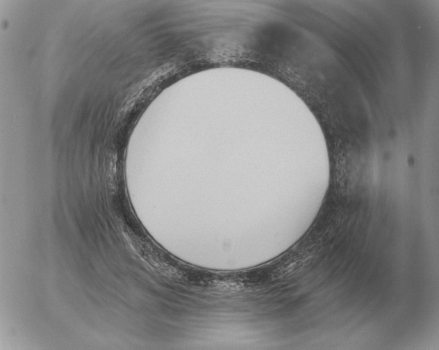 X0000052980592200507221329