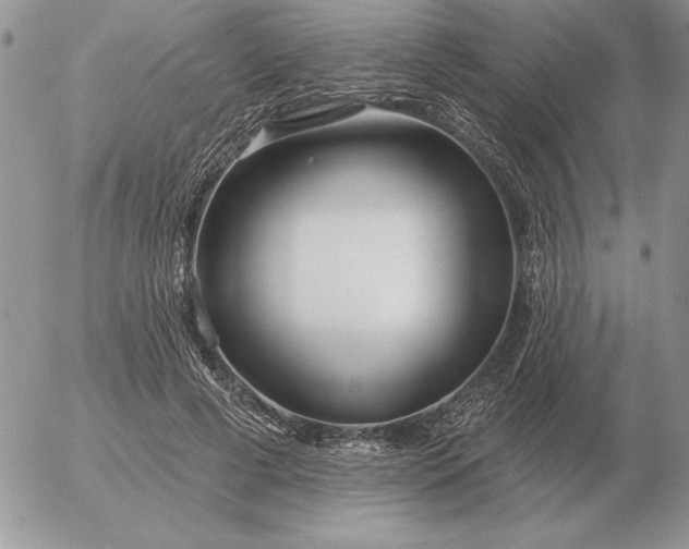 X0000052980593200507221329