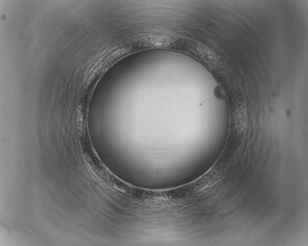 X0000052980594200507221329