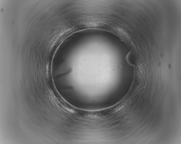 X0000052980596200507221329