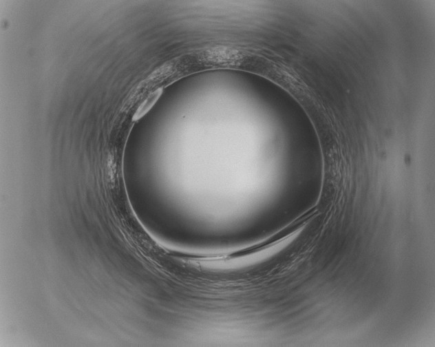 X0000052980597200507221329