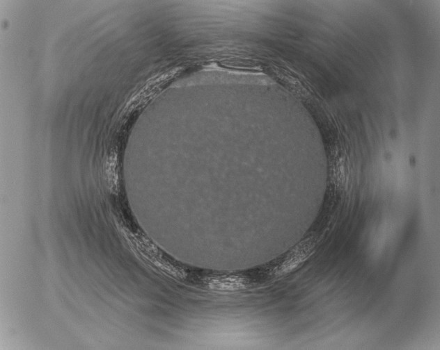 X0000052980599200507221329