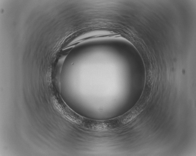 X0000052980600200507221329