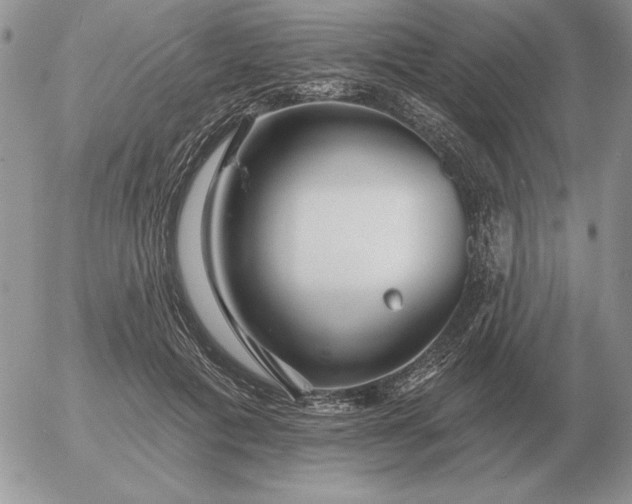 X0000052980601200507221329