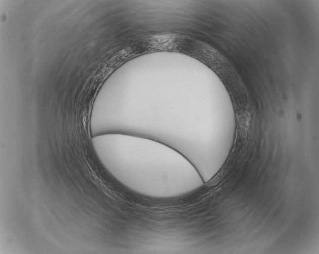 X0000052980602200507221329