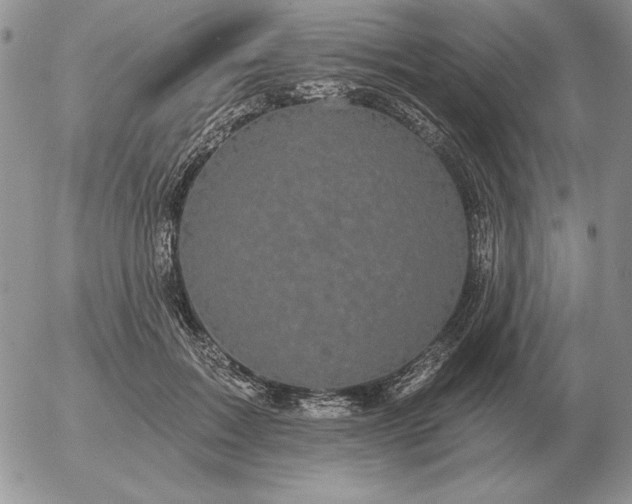 X0000052980603200507221329