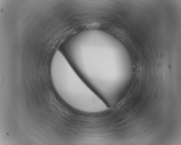 X0000052980604200507221329