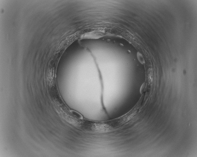 X0000052980605200507221329