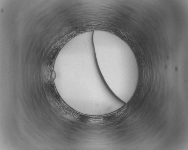 X0000052980606200507221329