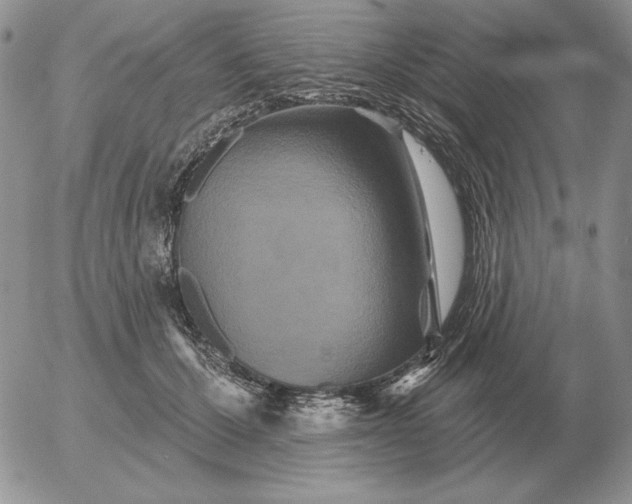 X0000052980607200507221329