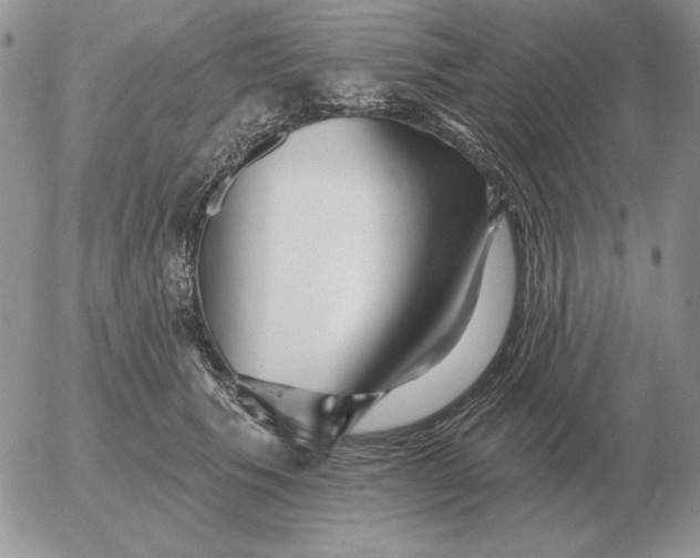 X0000052980609200507221329