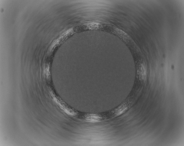 X0000052980610200507221329