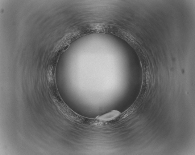 X0000052980611200507221329