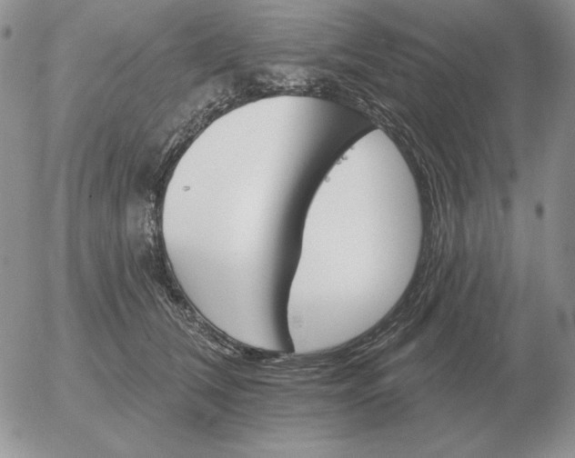 X0000052980612200507221329