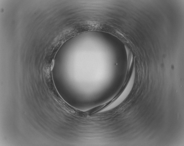 X0000052980613200507221329