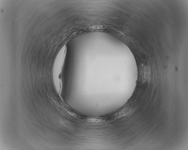 X0000052980614200507221329