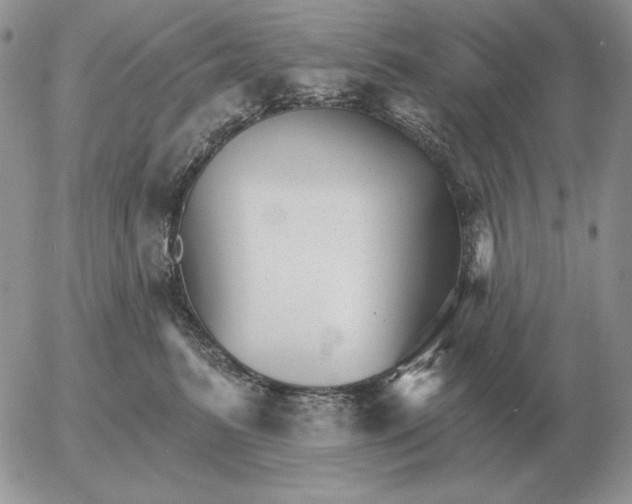 X0000052980615200507221329