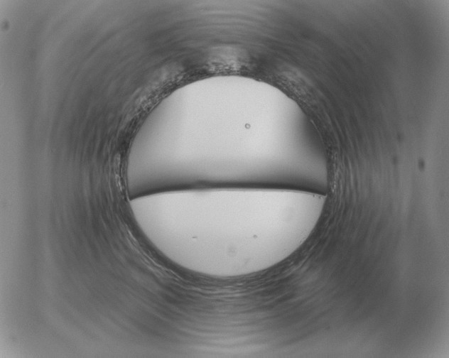 X0000052980616200507221329