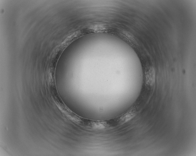 X0000052980618200507221329