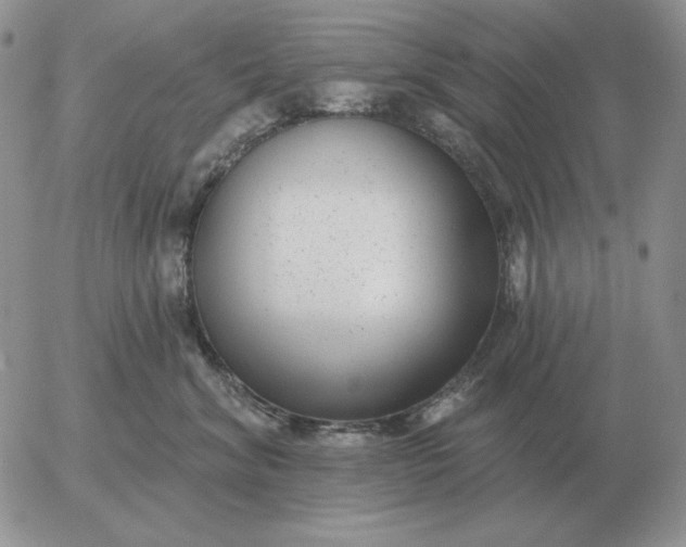 X0000052980620200507221329