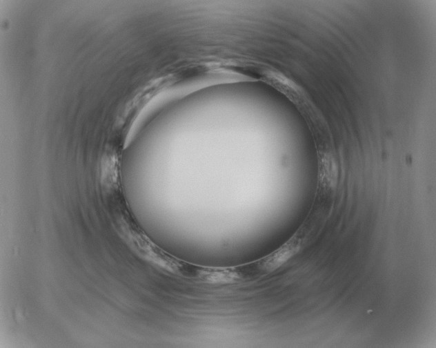 X0000052980621200507221329