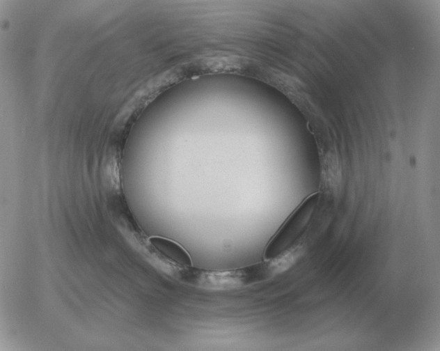 X0000052980622200507221329