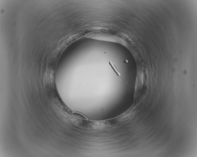 X0000052980623200507221329